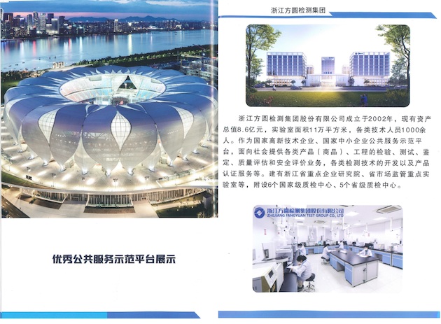 優秀公共服務示范平臺展示.jpg