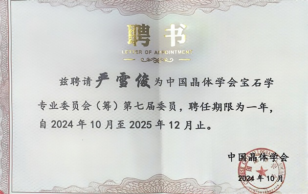集團技術專家嚴雪俊被聘為中國晶體學會寶石學專業委員會（籌）專家委員.jpg